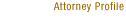 Attorney Profile