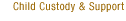 Child Custody & Support